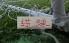 截止26轮官榜!申花进球数反超成都蓉城排第2 只有三家俱乐部进球超50个