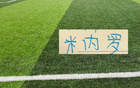 久违了！申花有人可以“上桌” 主角已不是米内罗 而是阿苏埃