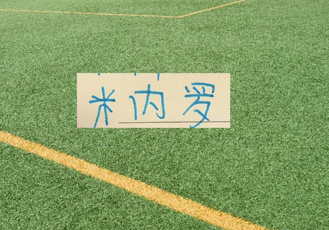足协杯被红牌!申花前锋米内罗还有机会在亚冠赛场 剩余5场联赛证明自己吗